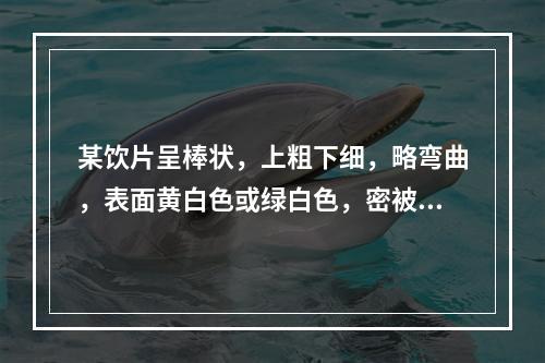 某饮片呈棒状，上粗下细，略弯曲，表面黄白色或绿白色，密被短柔