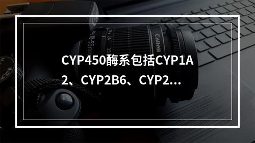 CYP450酶系包括CYP1A2、CYP2B6、CYP2C9