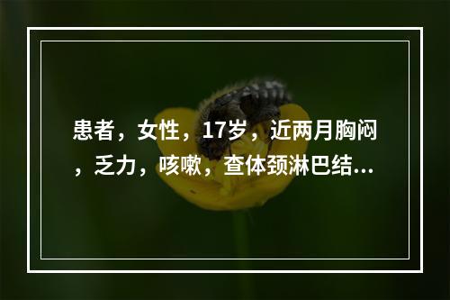 患者，女性，17岁，近两月胸闷，乏力，咳嗽，查体颈淋巴结肿大