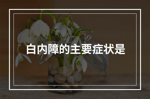 白内障的主要症状是