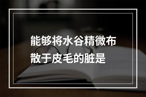 能够将水谷精微布散于皮毛的脏是