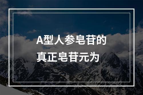 A型人参皂苷的真正皂苷元为