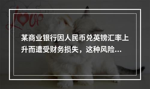 某商业银行因人民币兑英镑汇率上升而遭受财务损失，这种风险属于