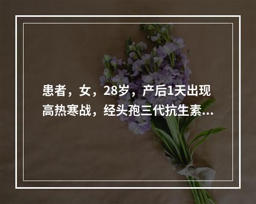 患者，女，28岁，产后1天出现高热寒战，经头孢三代抗生素抗炎