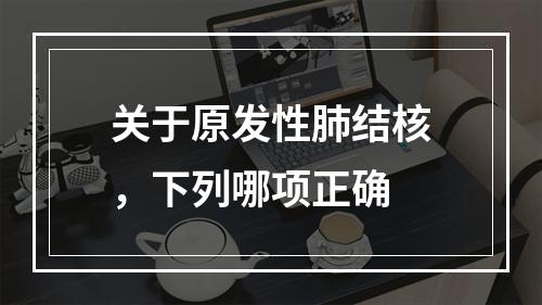 关于原发性肺结核，下列哪项正确