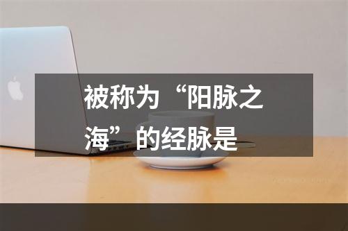 被称为“阳脉之海”的经脉是