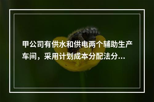 甲公司有供水和供电两个辅助生产车间，采用计划成本分配法分配辅