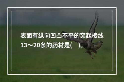 表面有纵向凹凸不平的突起棱线13～20条的药材是(　)。