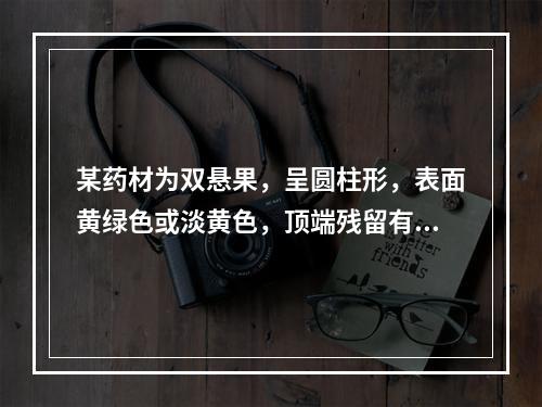 某药材为双悬果，呈圆柱形，表面黄绿色或淡黄色，顶端残留有黄棕