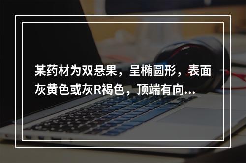 某药材为双悬果，呈椭圆形，表面灰黄色或灰R褐色，顶端有向外弯