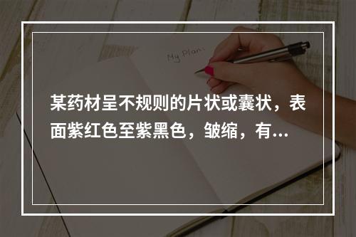 某药材呈不规则的片状或囊状，表面紫红色至紫黑色，皱缩，有光泽