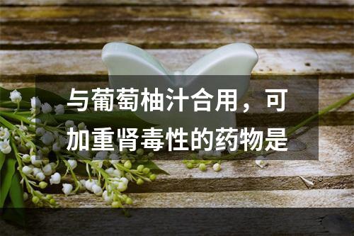 与葡萄柚汁合用，可加重肾毒性的药物是