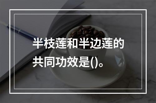 半枝莲和半边莲的共同功效是()。