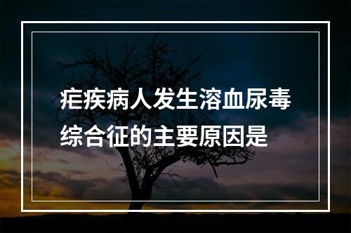 疟疾病人发生溶血尿毒综合征的主要原因是