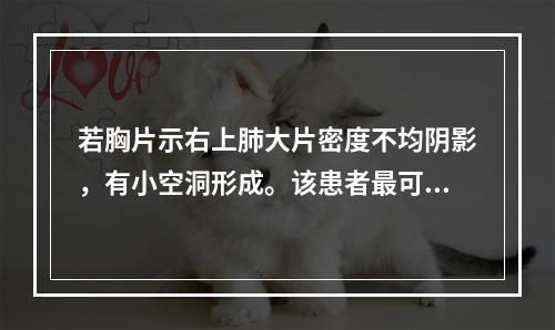 若胸片示右上肺大片密度不均阴影，有小空洞形成。该患者最可能的