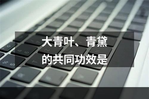 大青叶、青黛的共同功效是