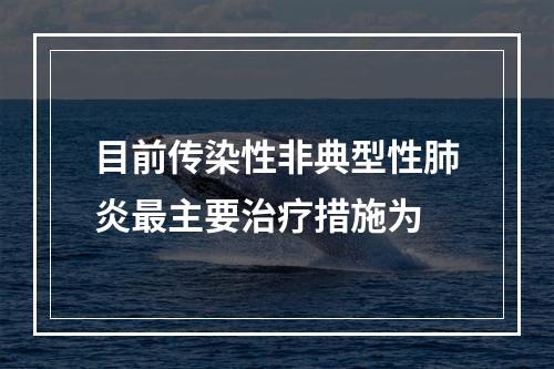 目前传染性非典型性肺炎最主要治疗措施为