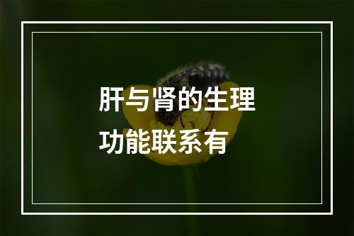 肝与肾的生理功能联系有