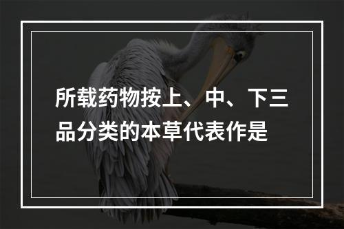 所载药物按上、中、下三品分类的本草代表作是