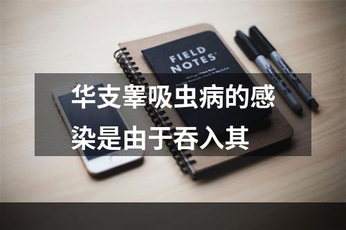 华支睾吸虫病的感染是由于吞入其