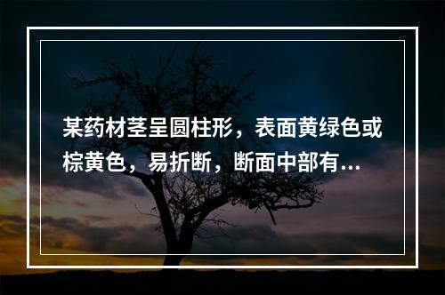 某药材茎呈圆柱形，表面黄绿色或棕黄色，易折断，断面中部有髓，