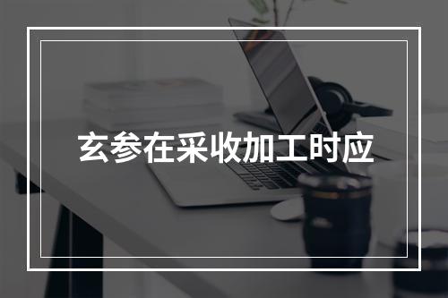 玄参在采收加工时应