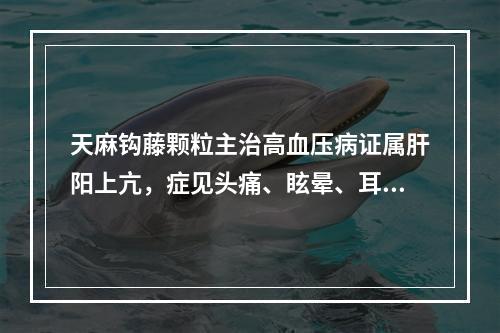 天麻钩藤颗粒主治高血压病证属肝阳上亢，症见头痛、眩晕、耳鸣、