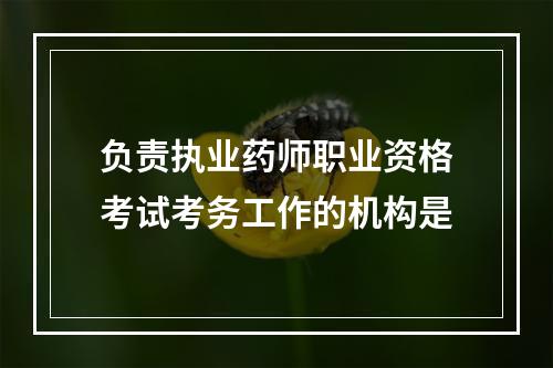 负责执业药师职业资格考试考务工作的机构是