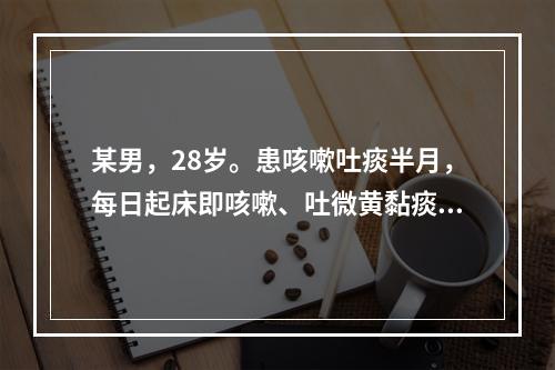 某男，28岁。患咳嗽吐痰半月，每日起床即咳嗽、吐微黄黏痰，尿