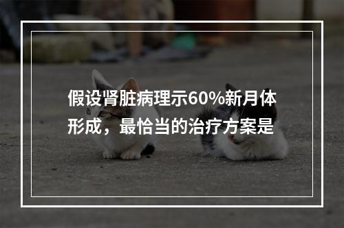 假设肾脏病理示60%新月体形成，最恰当的治疗方案是