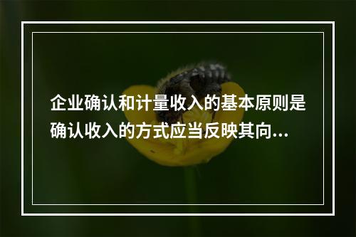 企业确认和计量收入的基本原则是确认收入的方式应当反映其向客户