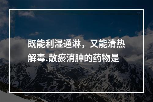 既能利湿通淋，又能清热解毒.散瘀消肿的药物是