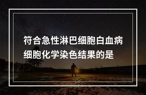 符合急性淋巴细胞白血病细胞化学染色结果的是