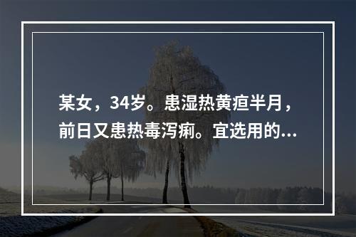 某女，34岁。患湿热黄疸半月，前日又患热毒泻痢。宜选用的药是