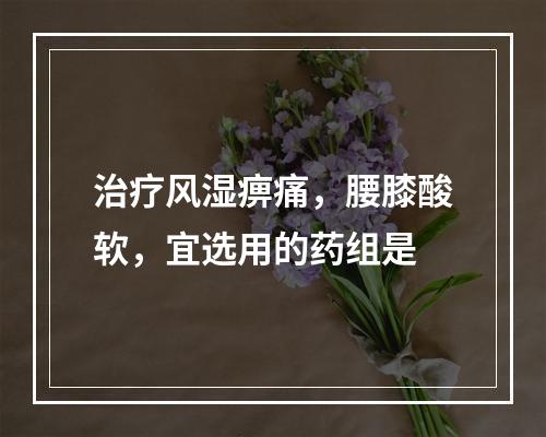 治疗风湿痹痛，腰膝酸软，宜选用的药组是