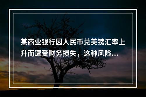 某商业银行因人民币兑英镑汇率上升而遭受财务损失，这种风险属于