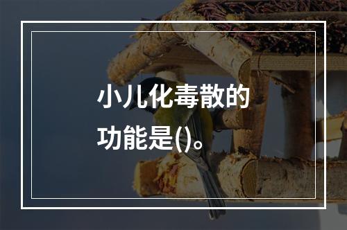 小儿化毒散的功能是()。