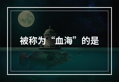 被称为“血海”的是