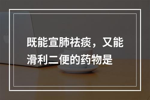 既能宣肺祛痰，又能滑利二便的药物是