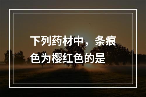 下列药材中，条痕色为樱红色的是