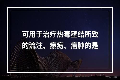 可用于治疗热毒壅结所致的流注、瘰疬、癌肿的是