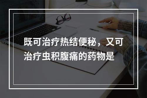 既可治疗热结便秘，又可治疗虫积腹痛的药物是