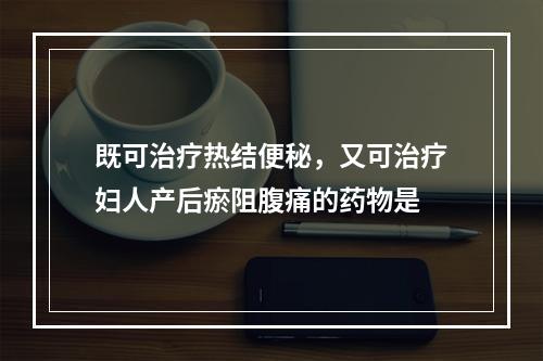 既可治疗热结便秘，又可治疗妇人产后瘀阻腹痛的药物是