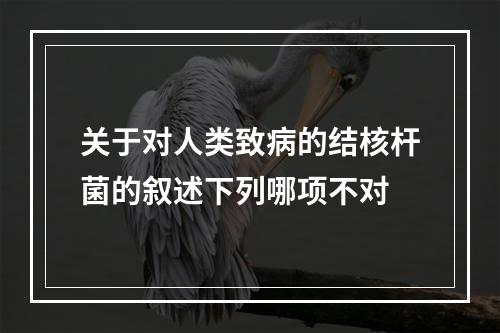 关于对人类致病的结核杆菌的叙述下列哪项不对