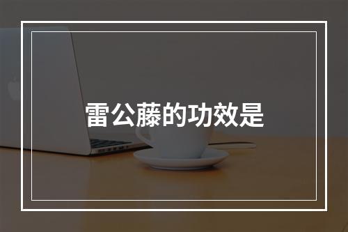 雷公藤的功效是