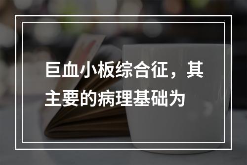 巨血小板综合征，其主要的病理基础为