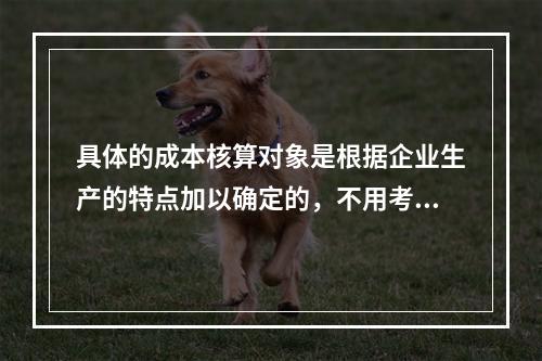 具体的成本核算对象是根据企业生产的特点加以确定的，不用考虑成