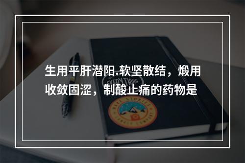 生用平肝潜阳.软坚散结，煅用收敛固涩，制酸止痛的药物是