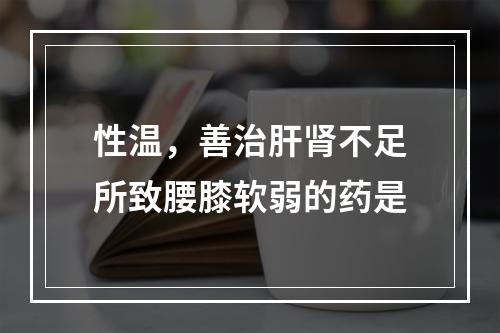 性温，善治肝肾不足所致腰膝软弱的药是