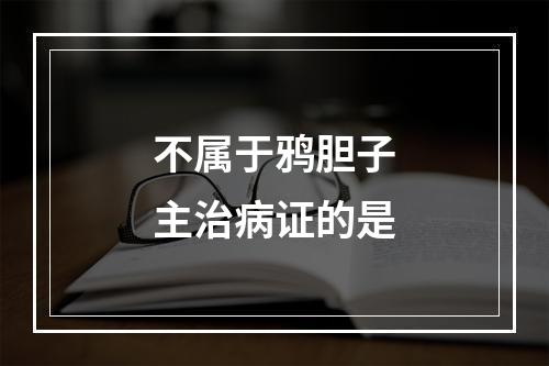 不属于鸦胆子主治病证的是